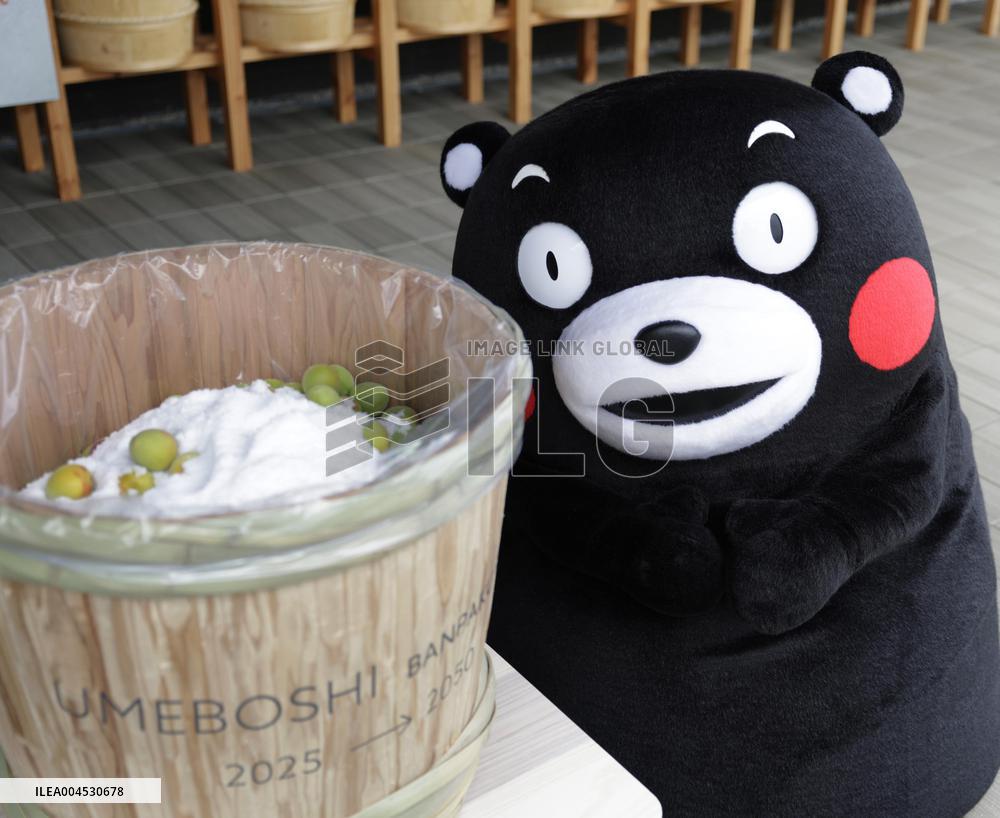 Kumamon mascot at Osaka expo