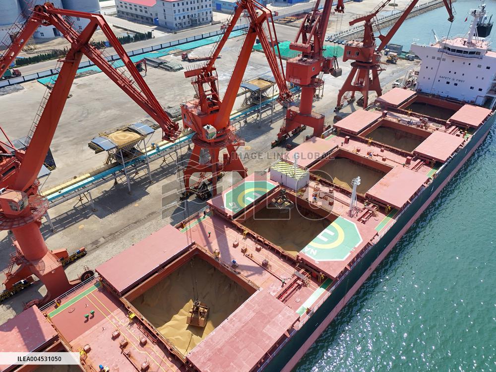 China Purchases Brazilian Soybeans