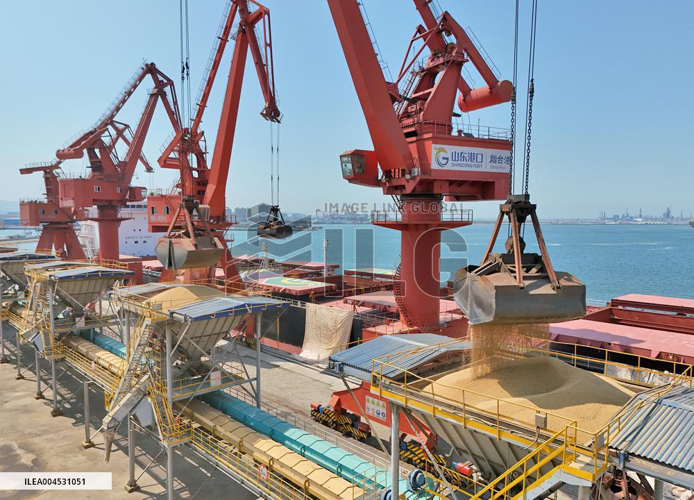 China Purchases Brazilian Soybeans