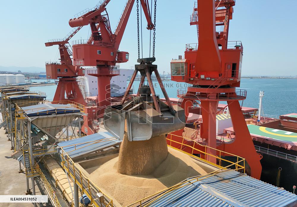 China Purchases Brazilian Soybeans