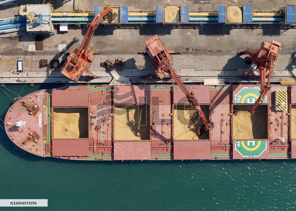 China Purchases Brazilian Soybeans