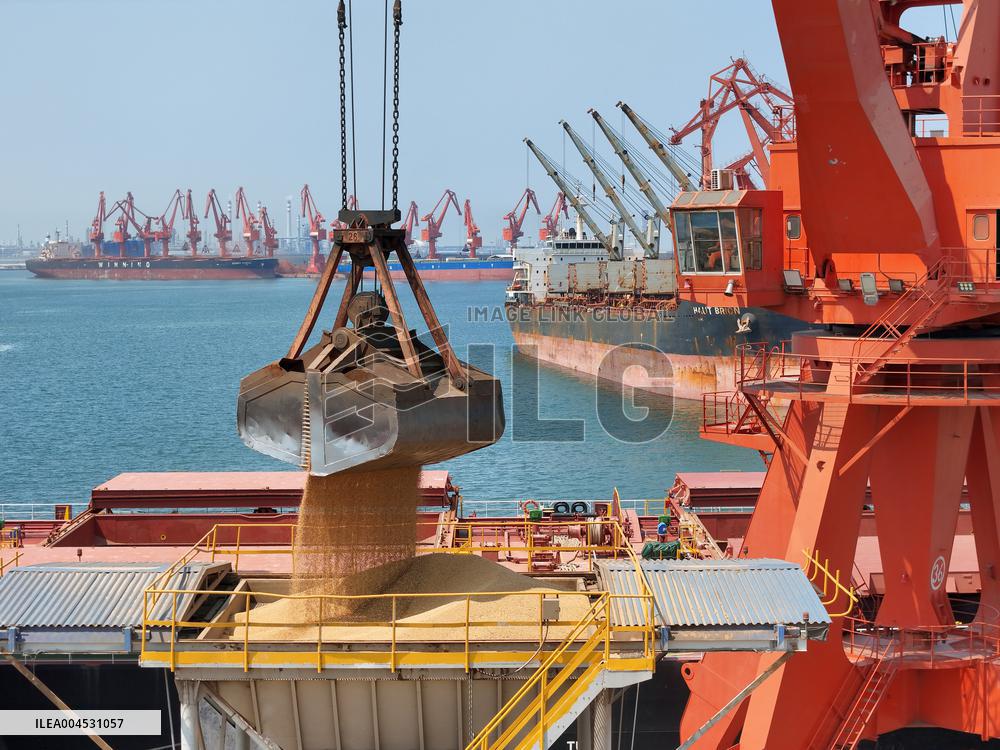 China Purchases Brazilian Soybeans