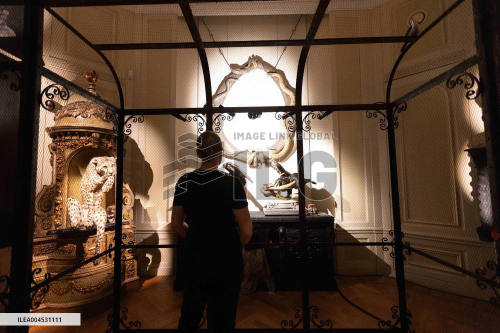 Art Zoo Museum - Amsterdam