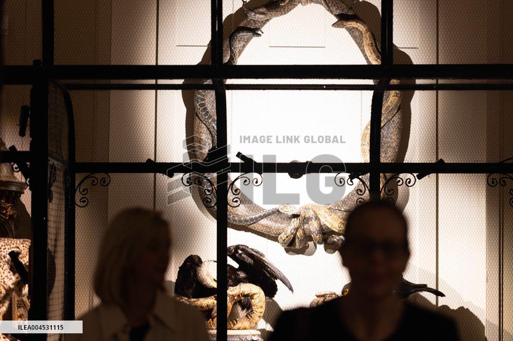 Art Zoo Museum - Amsterdam