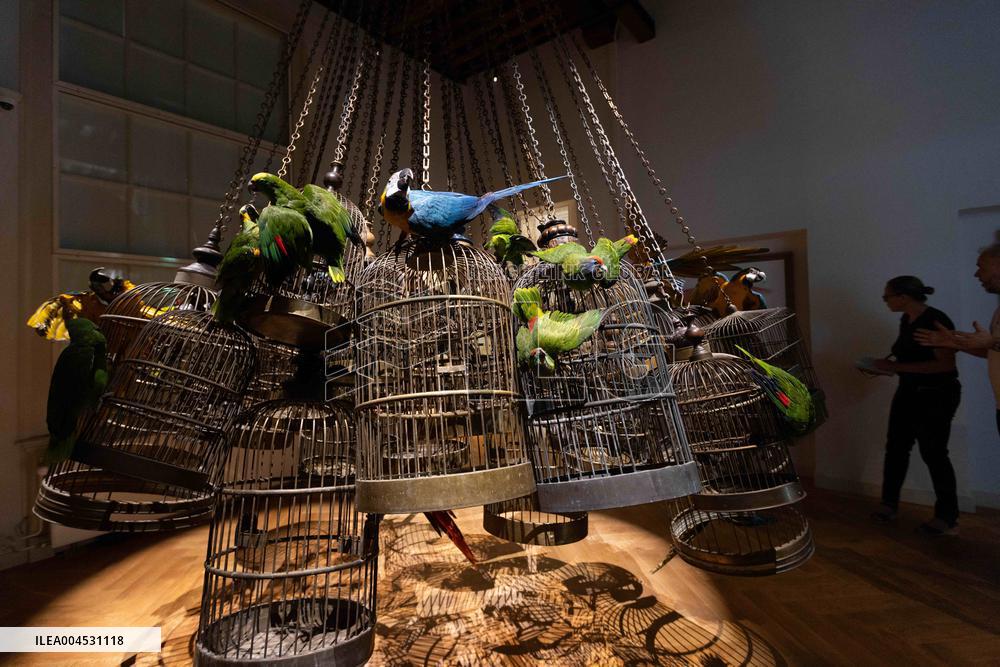 Art Zoo Museum - Amsterdam