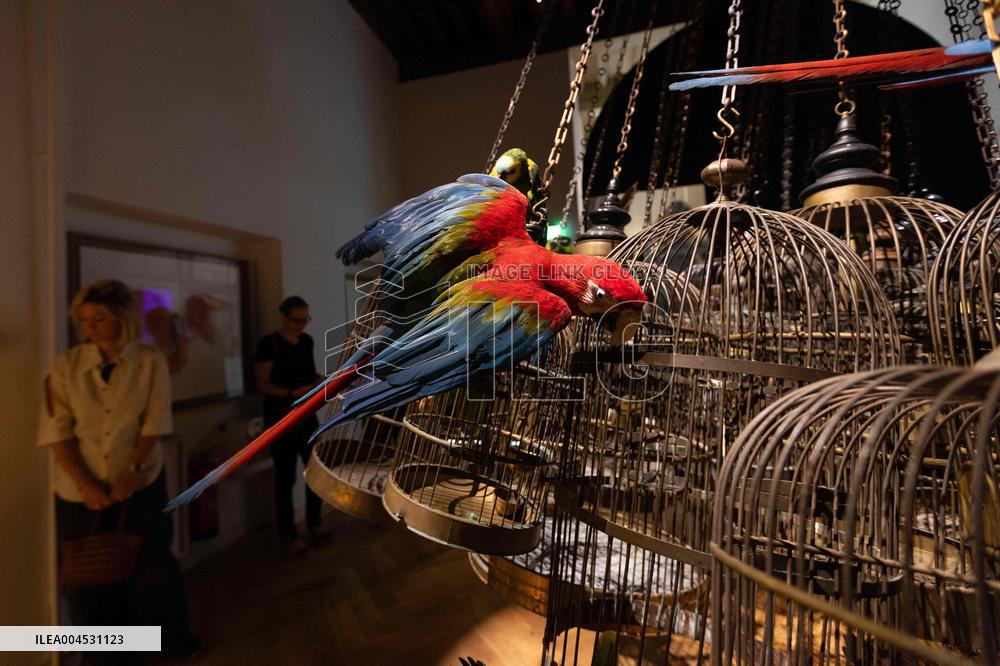 Art Zoo Museum - Amsterdam