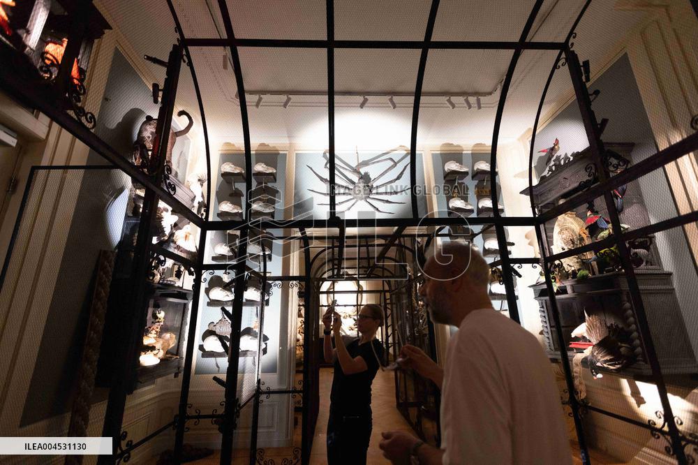 Art Zoo Museum - Amsterdam