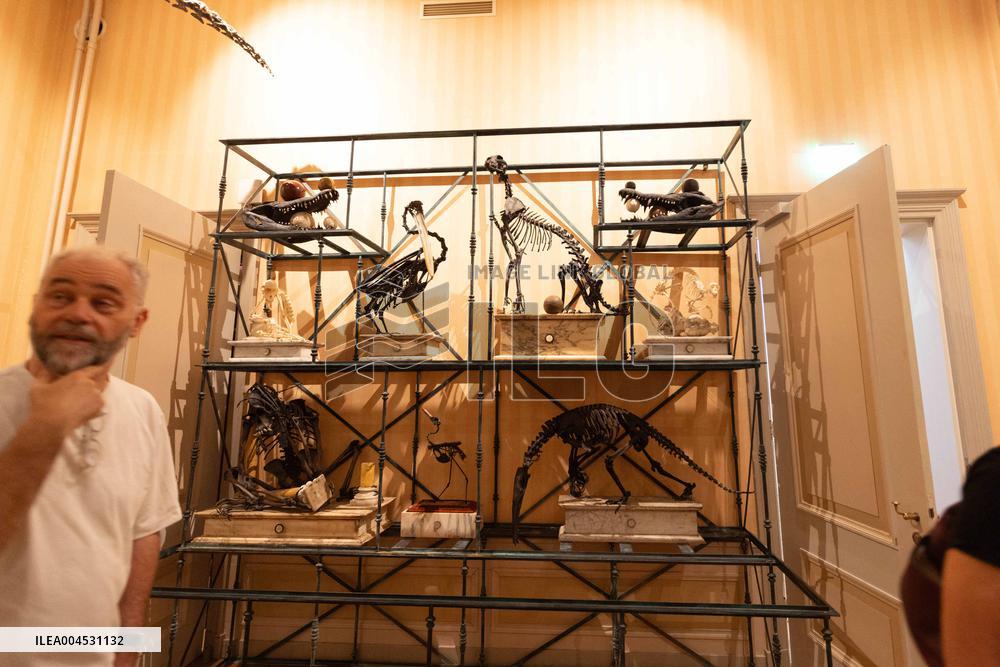 Art Zoo Museum - Amsterdam