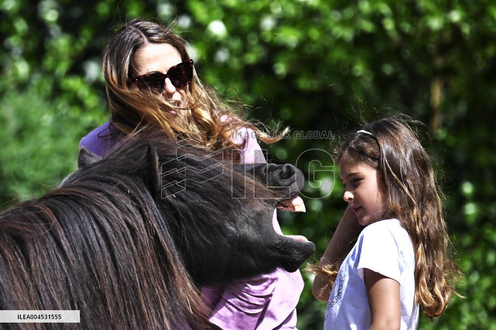 PRINCESS ADRIENNE CHRISTENING GIFT BLEKINGE