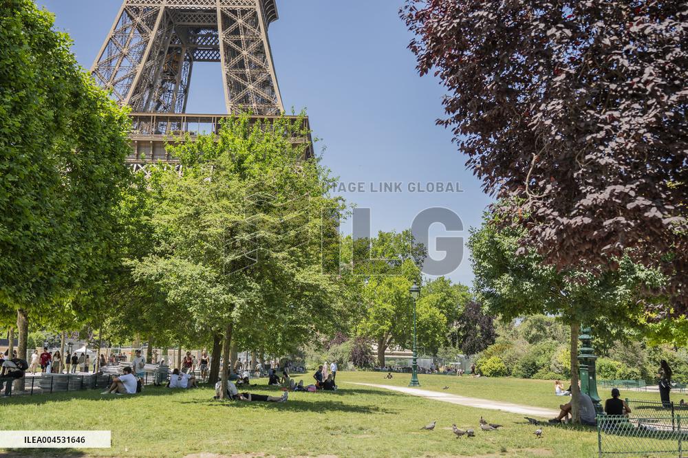 Heatwave Illustration - Paris