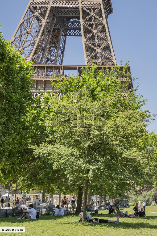 Heatwave Illustration - Paris