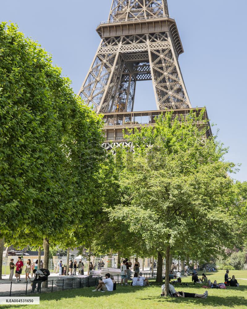 Heatwave Illustration - Paris