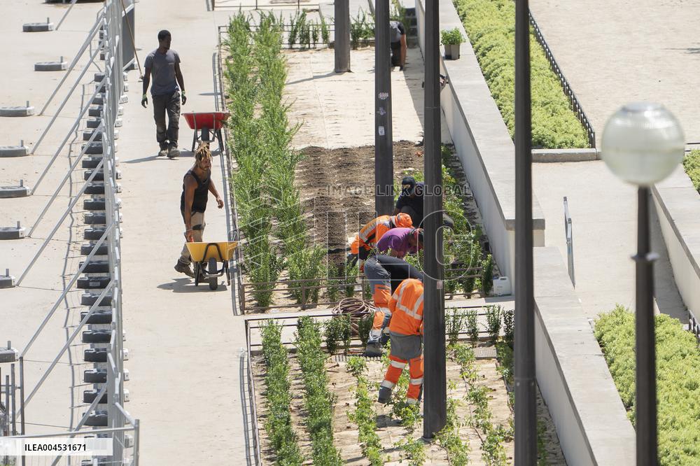 Heatwave Illustration - Paris