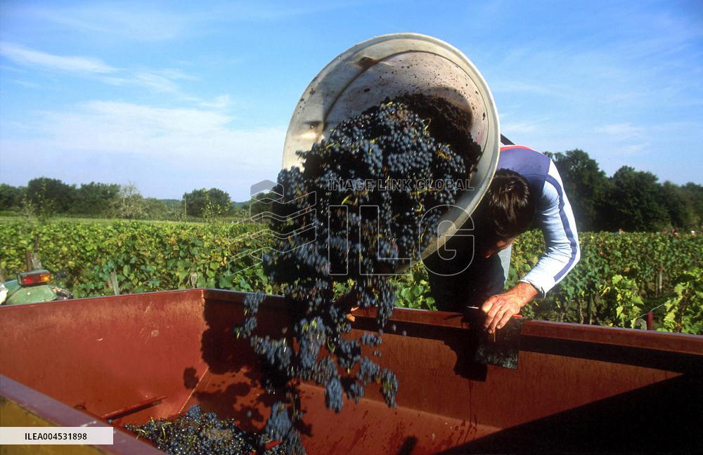 Illustration - Bordeaux