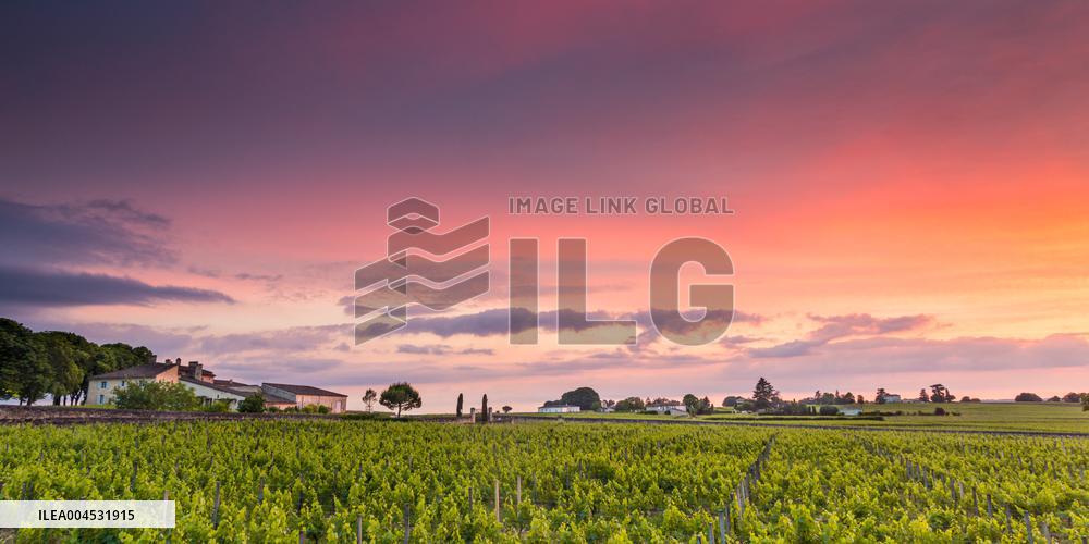 Illustration - Bordeaux