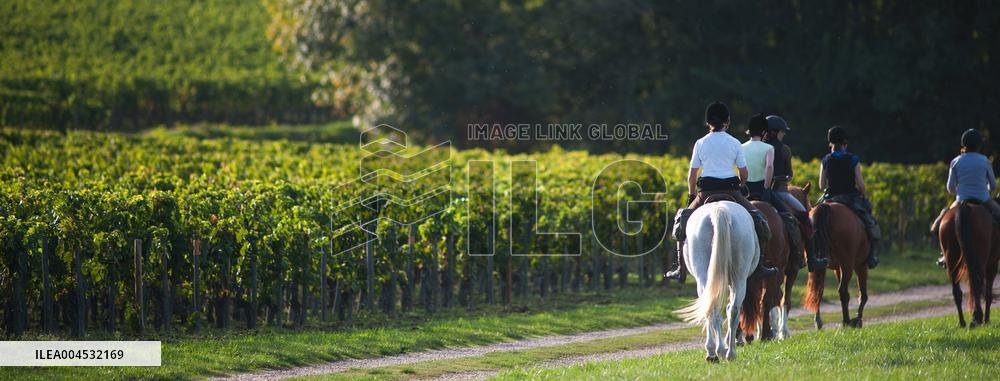 Illustration - Bordeaux