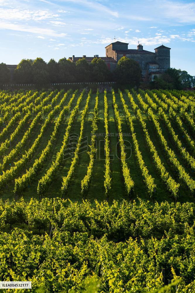 Illustration - Bordeaux