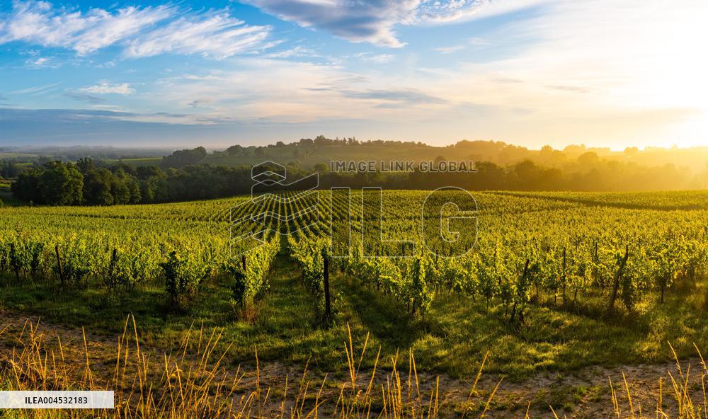 Illustration - Bordeaux