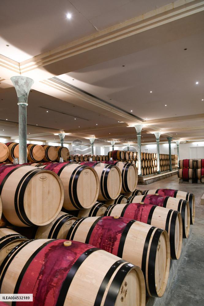 Illustration - Bordeaux