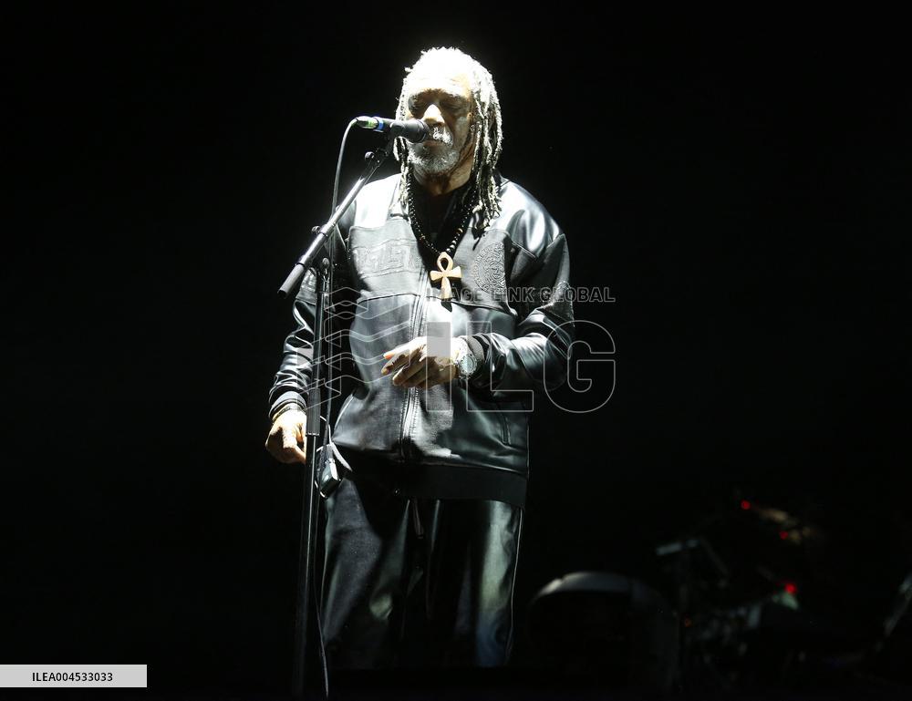 Massive Attack and Elisabeth Fraser Milan Concert - Italy