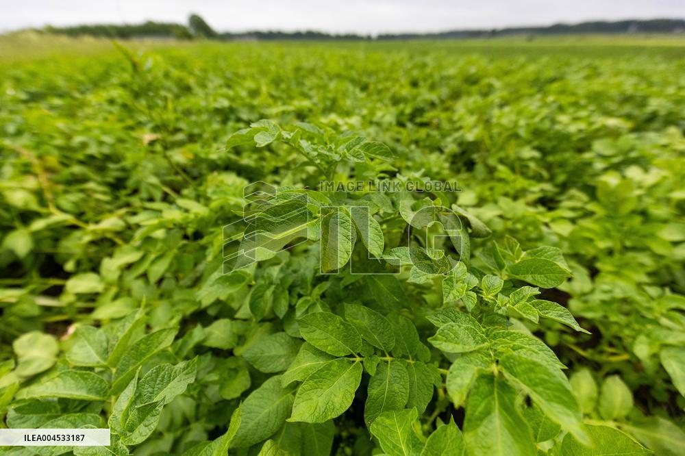 LÃµhmuse organic farm