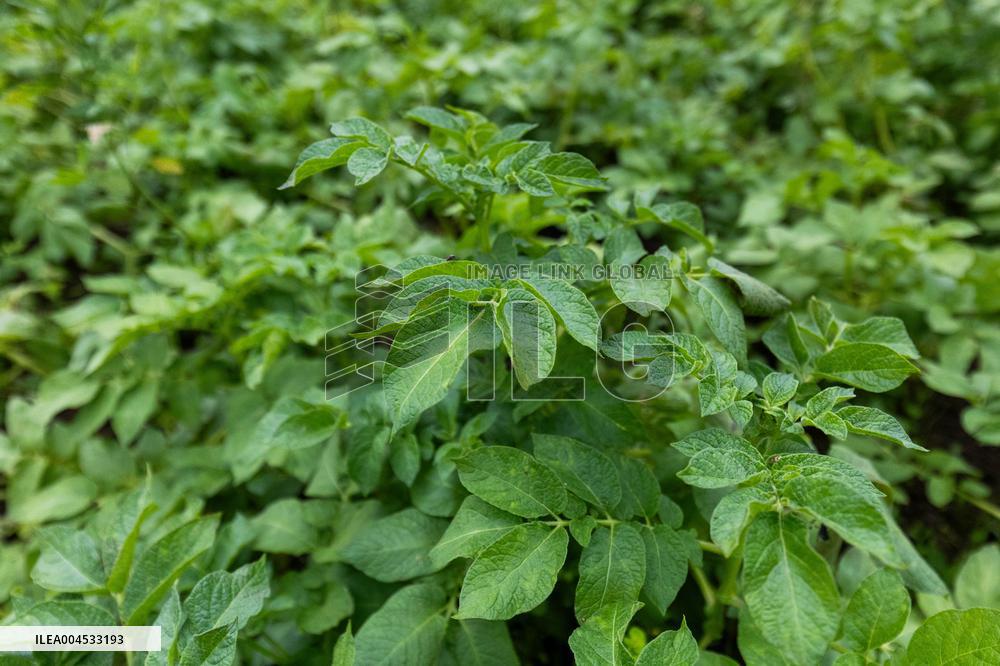 LÃµhmuse organic farm