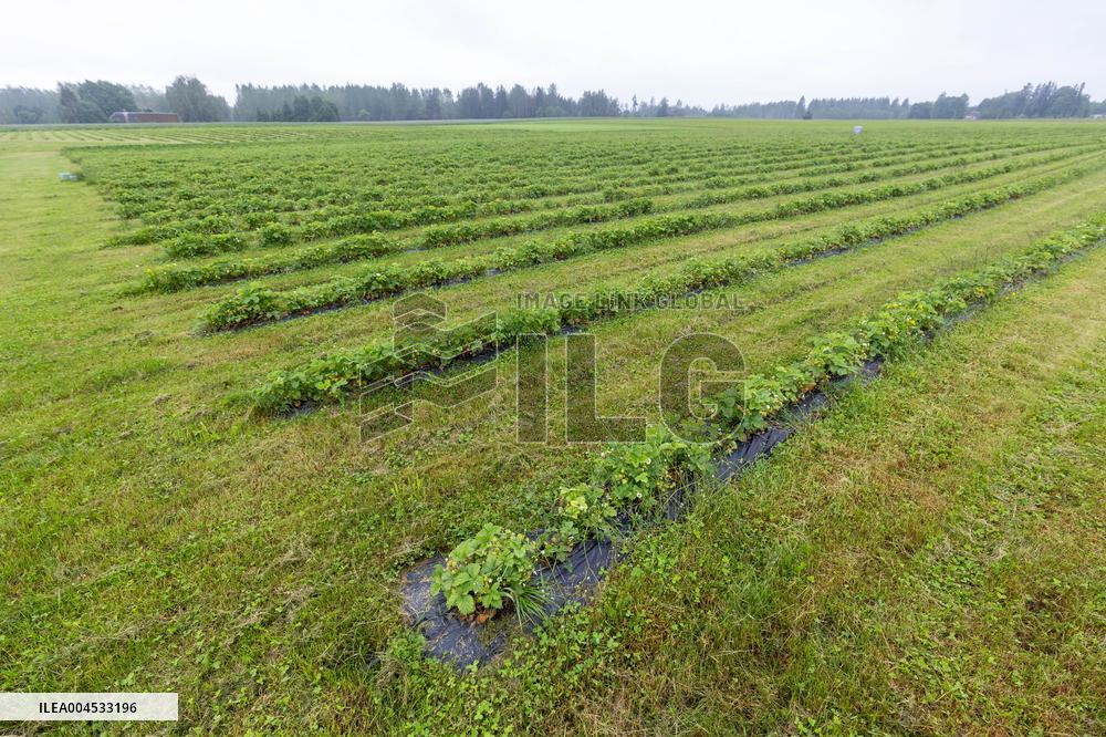 LÃµhmuse organic farm