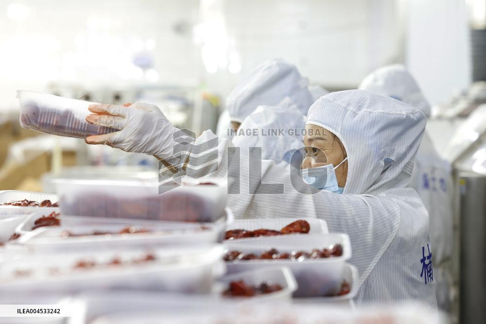 Crayfish Farming Export