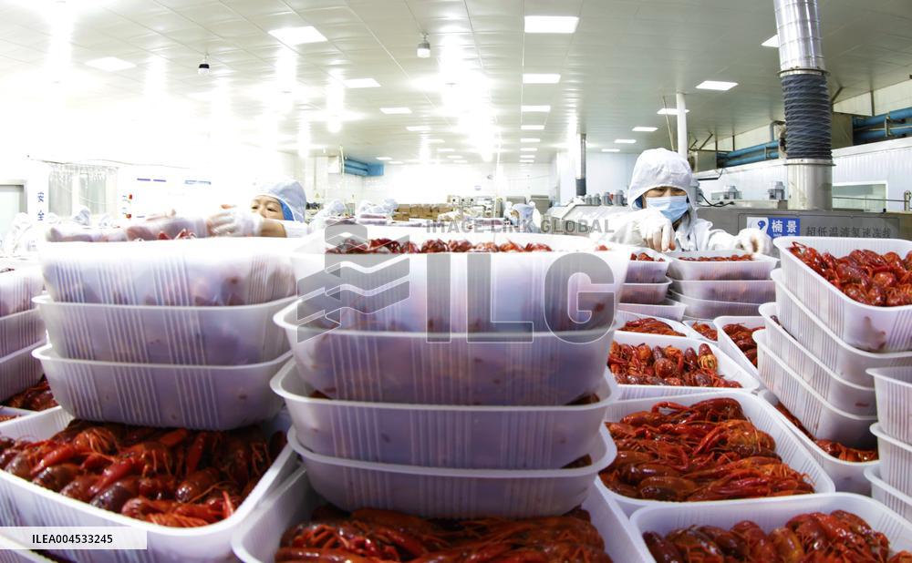 Crayfish Farming Export