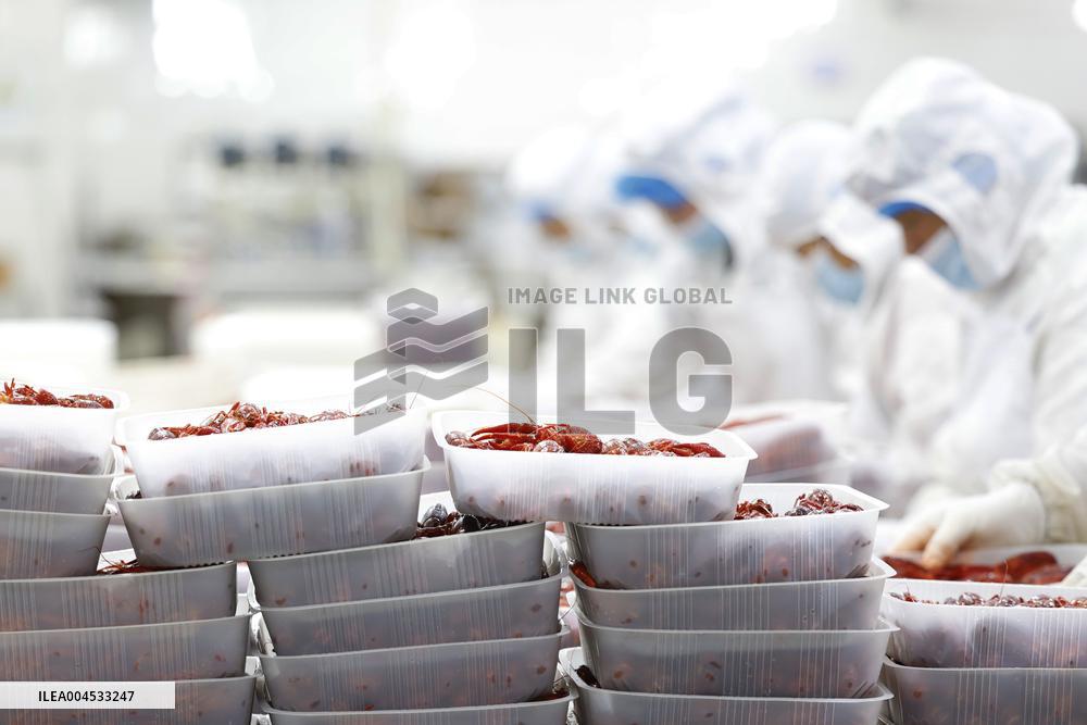 Crayfish Farming Export