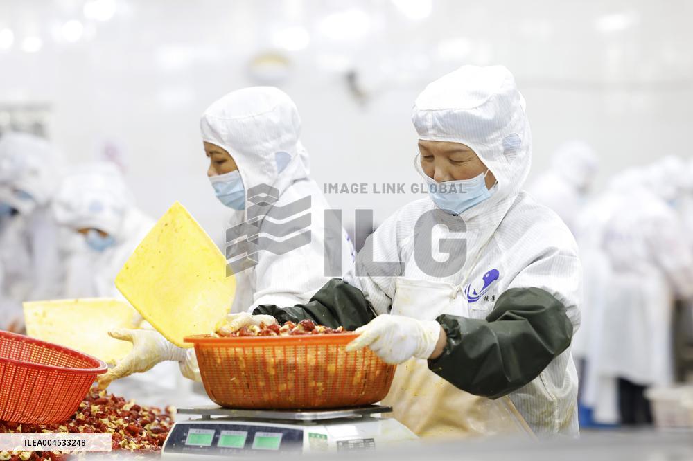 Crayfish Farming Export