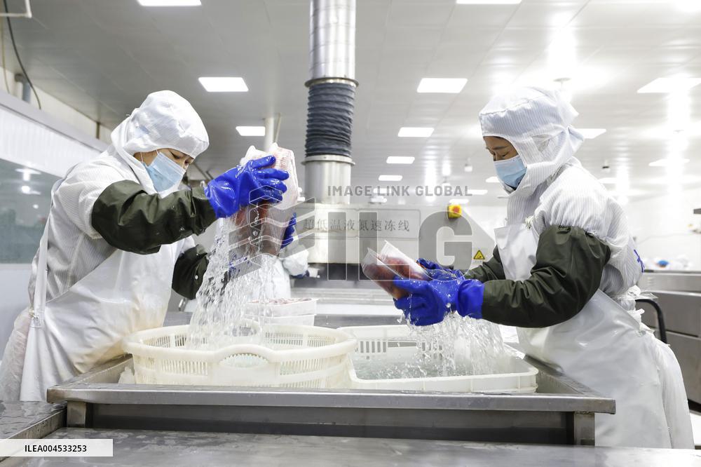 Crayfish Farming Export