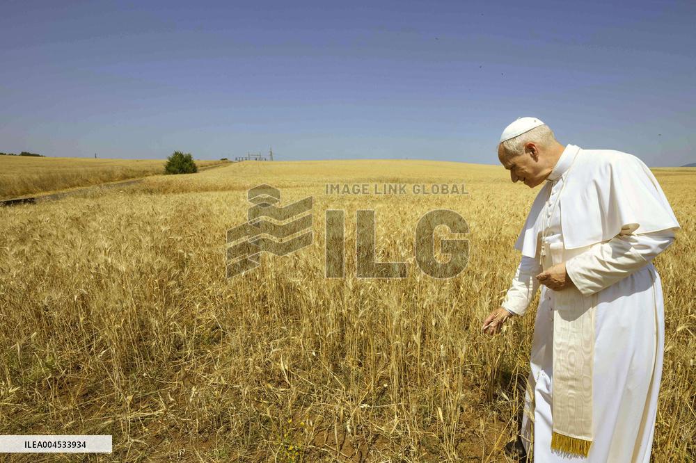 Pope Leo XIV In A Wheat Field Near Rome
