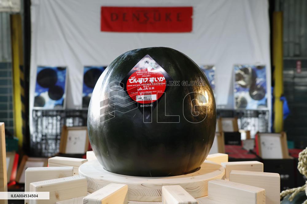 Premium watermelon in northern Japan