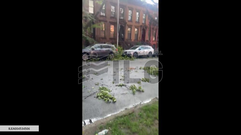 US: Powerful Winds Cause Tree Damage in New York City