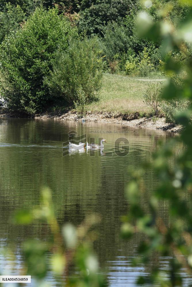 Illustration - Cool Zone Around Cities - Montbeton