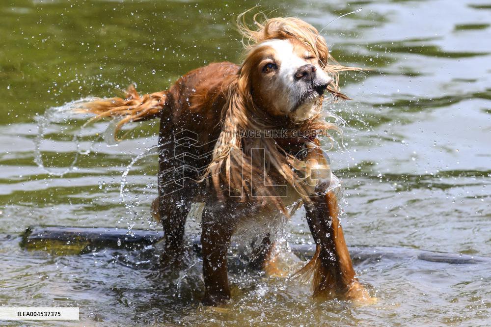 Heatwave in London - UK
