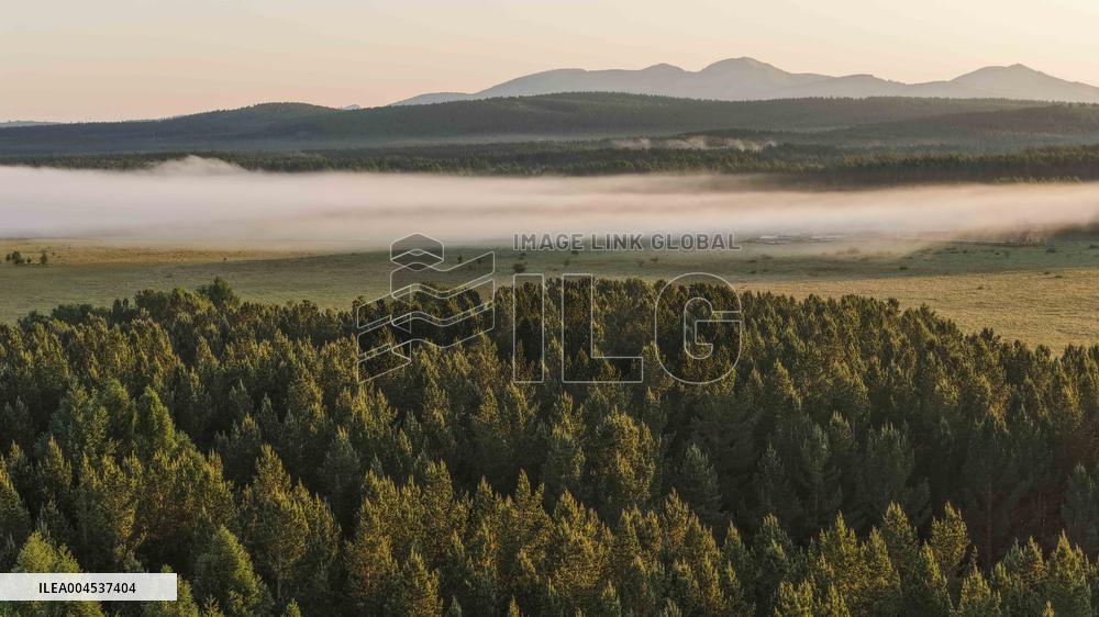 Saihanba National Forest Park Scenery - China