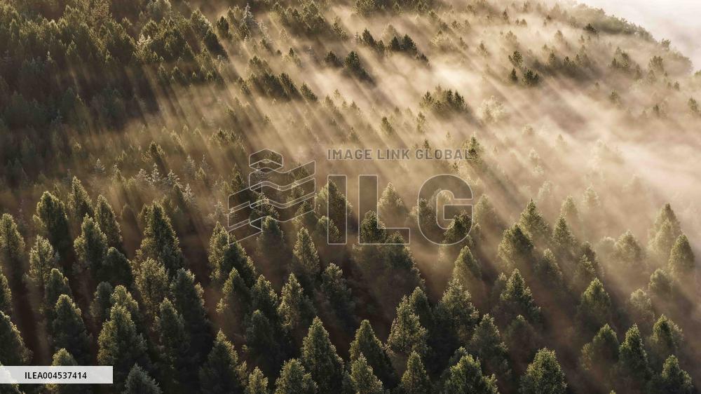 Saihanba National Forest Park Scenery - China