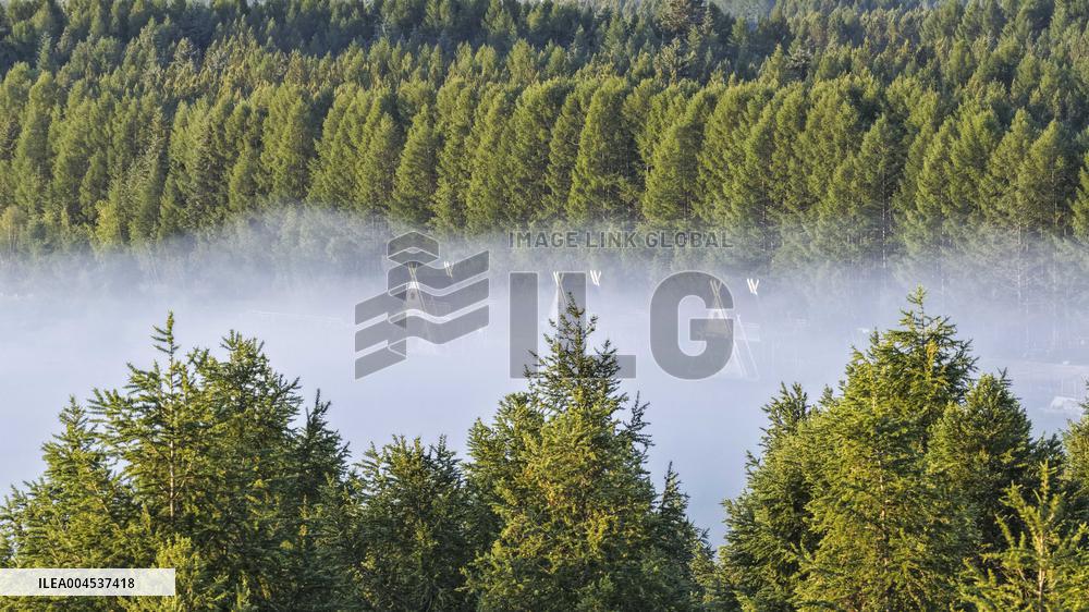 Saihanba National Forest Park Scenery - China