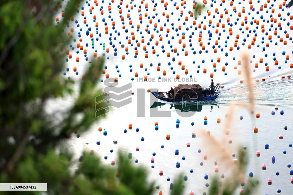 The Hometown of Abalone in China