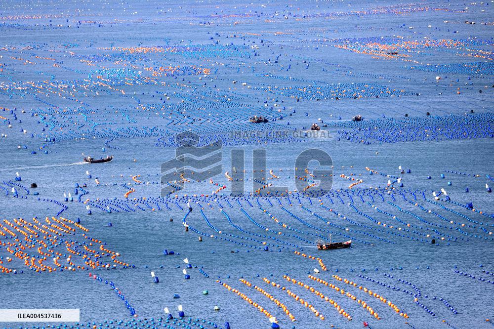 The Hometown of Abalone in China