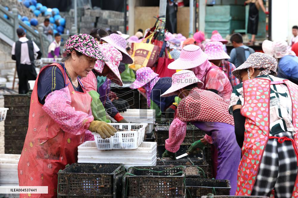 The Hometown of Abalone in China