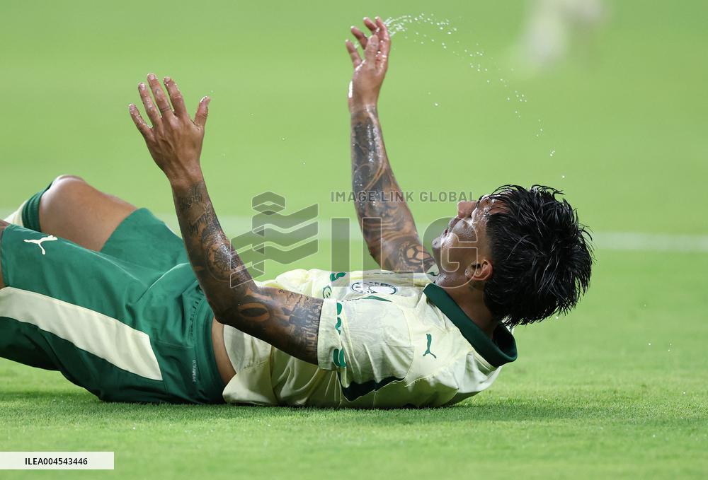 FIFA Club World Cup 2025 - Inter Miami CF and Palmeiras