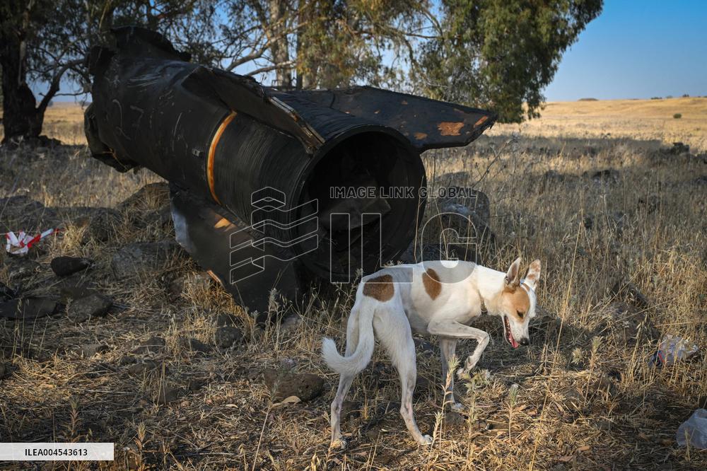 Iranian Ballistic Missile - Israel