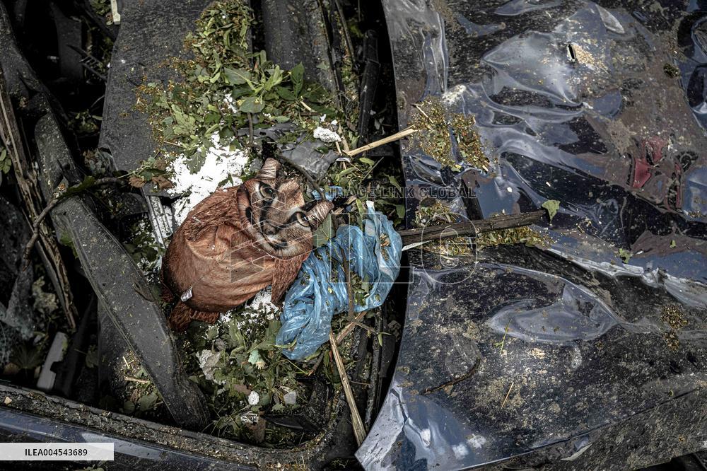 Russia Hits Civilian Infrastructure - Kyiv