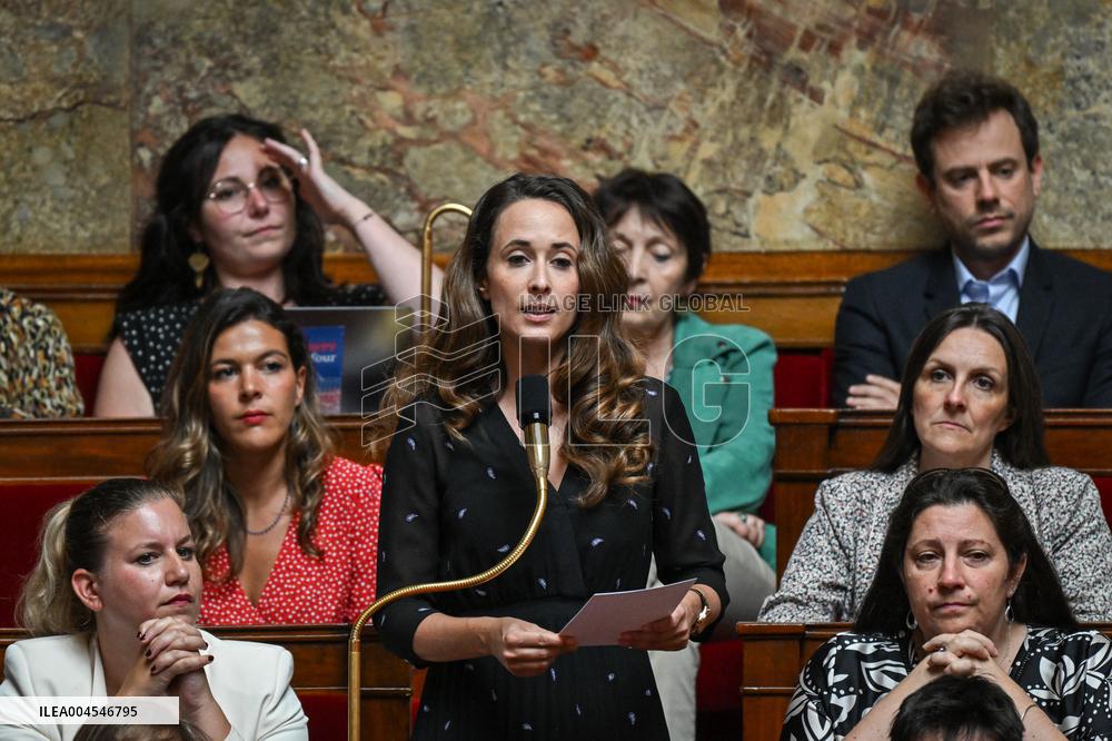 Questions to the government at the National Assembly in Paris FA