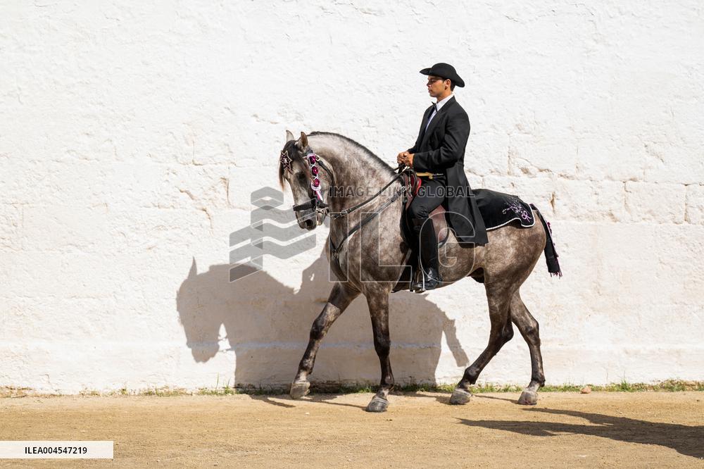 Sant Joan Festival - Menorca