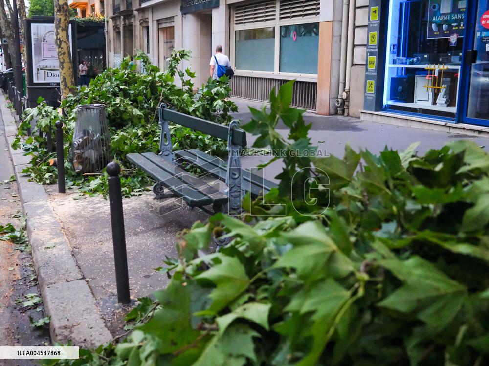 Recovery After Violent Storms in Paris - Paris