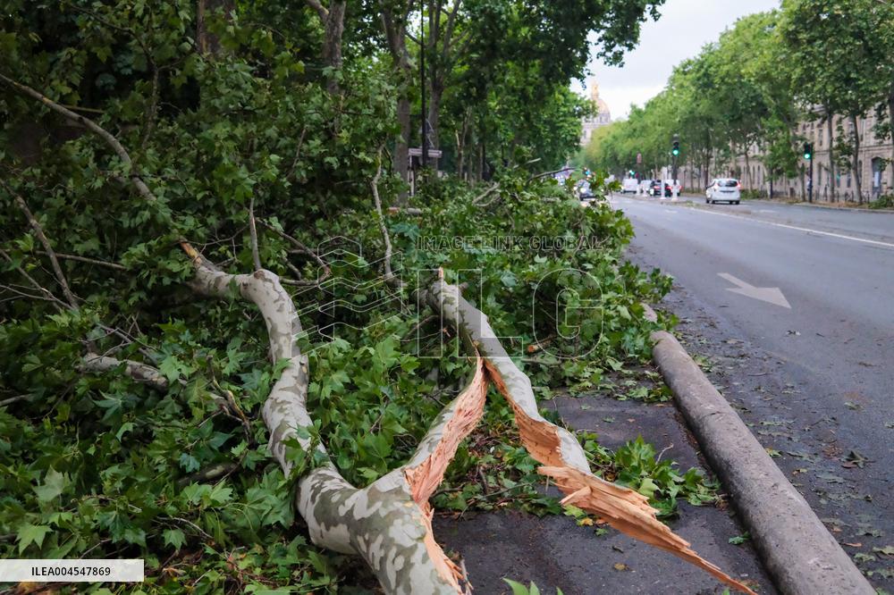 Recovery After Violent Storms in Paris - Paris